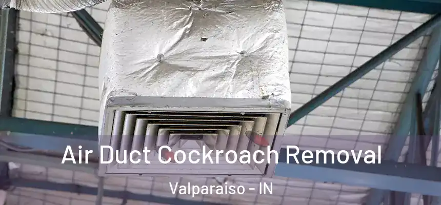 Air Duct Cockroach Removal Valparaiso - IN