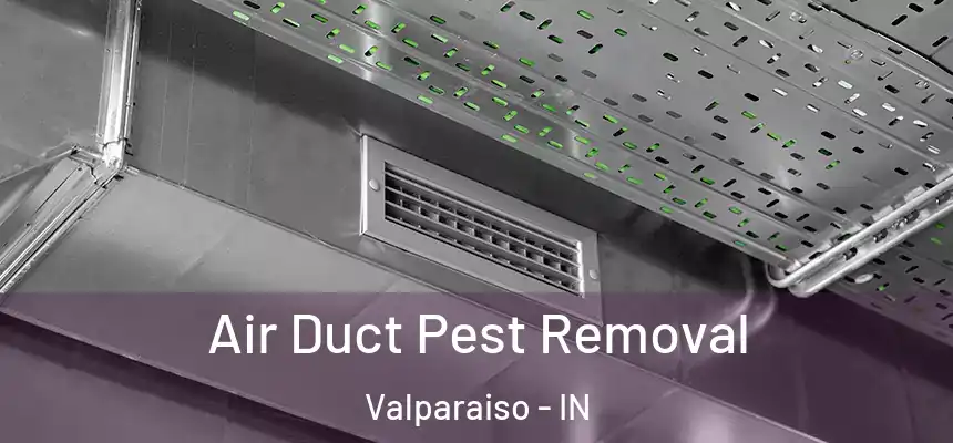 Air Duct Pest Removal Valparaiso - IN