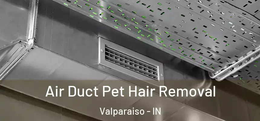 Air Duct Pet Hair Removal Valparaiso - IN