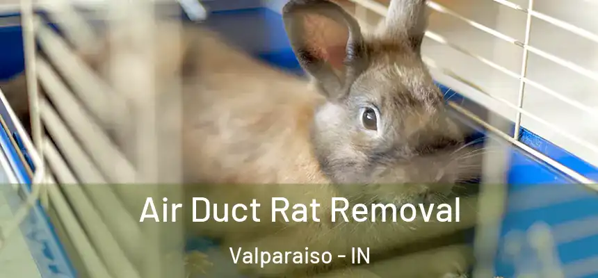 Air Duct Rat Removal Valparaiso - IN