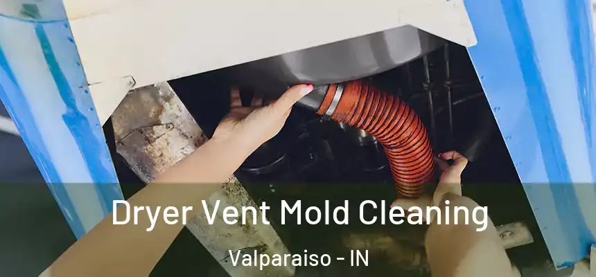  Dryer Vent Mold Cleaning Valparaiso - IN