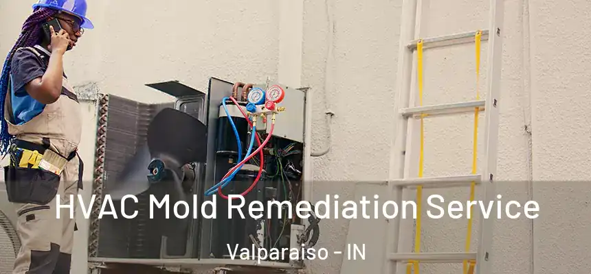  HVAC Mold Remediation Service Valparaiso - IN