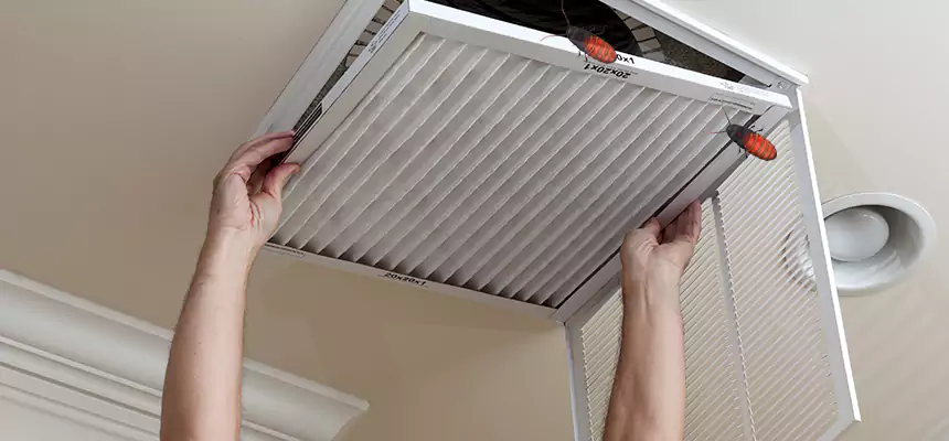 Preventive Cockroach-Proofing for Ducts in Valparaiso