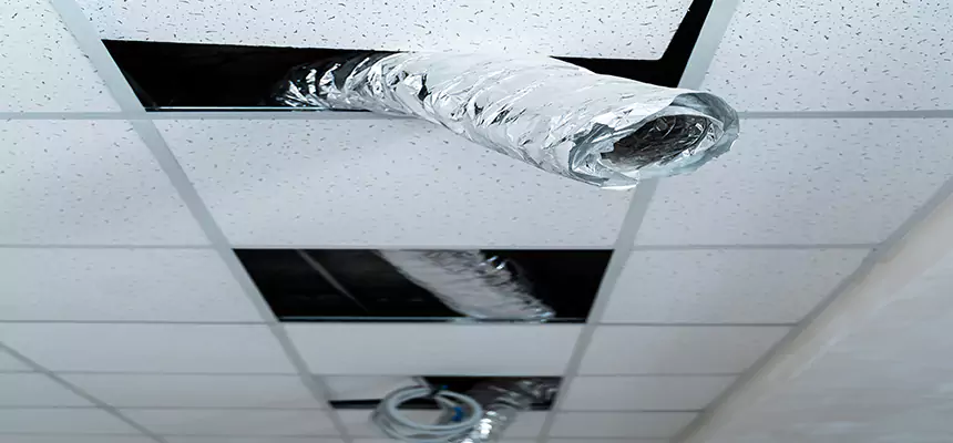 Affordable HVAC Sanitizing After Pest Removal in Valparaiso