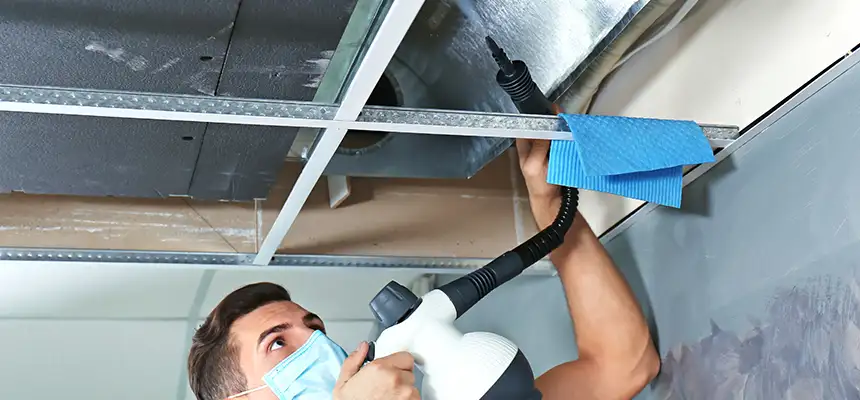 Our Air Duct Rodent Removal Services in Valparaiso, IN