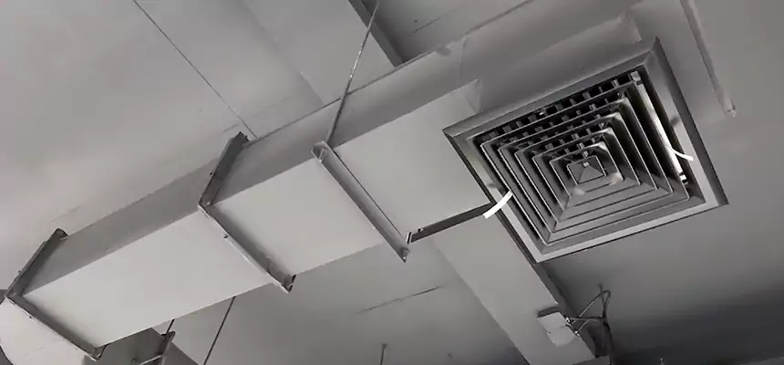 Our Pest Removal From Ducts Services in Valparaiso, IN