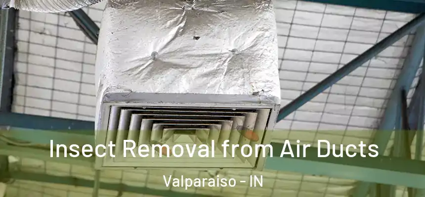 Insect Removal from Air Ducts Valparaiso - IN