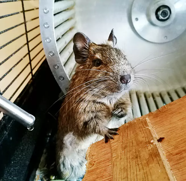 Why Homeowners & Businesses Trust Us Valparaiso, IN